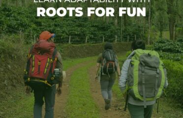 Roots 4 Fun